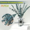 thumbnail image 2 of PandaTop 20 PCS Dried Eucalyptus Stems -17'' Real Preserved Fresh Eucalyptus Plant,Shower Eucalyptus Hanging,Eucalyptus Plant for Arrangement, Wedding, Home Décor,Shower ,Blue, 2 of 8