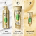 thumbnail image 5 of Acondicionador Pantene Pro-V 3 Minute Miracle Fortalecedor Diario Restauración 300 ml, 5 of 5