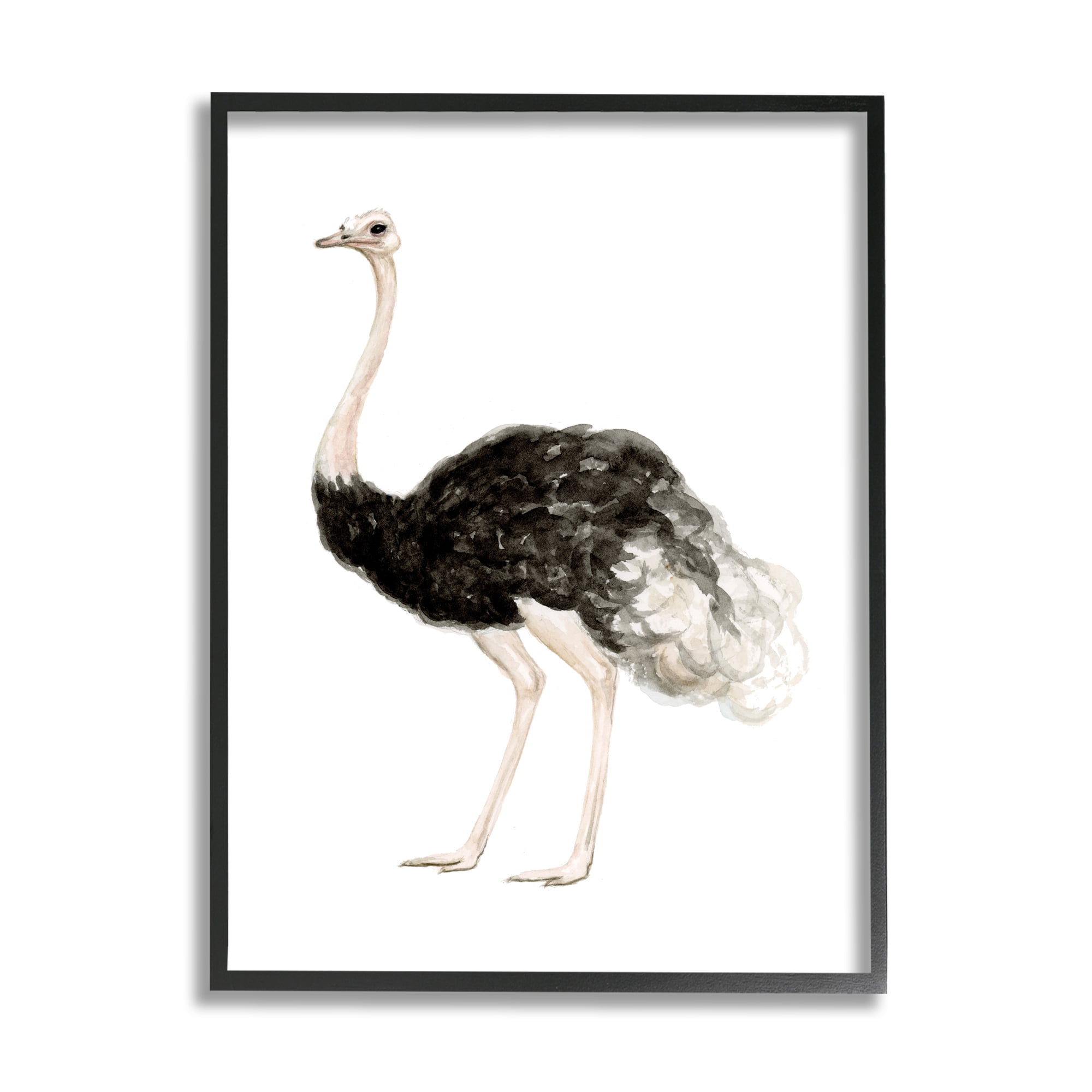 Stupell Industries Ostrich Bird Watercolor Portrait Kids' Nursery Wildlife Animal, 16 x 20,Design by Fox Hollow Studios Stupell Industries Ostrich Bird Watercolor Portrait Kids' Nursery Wildlife Animal, 16 x 20,Design by Fox Hollow Studios