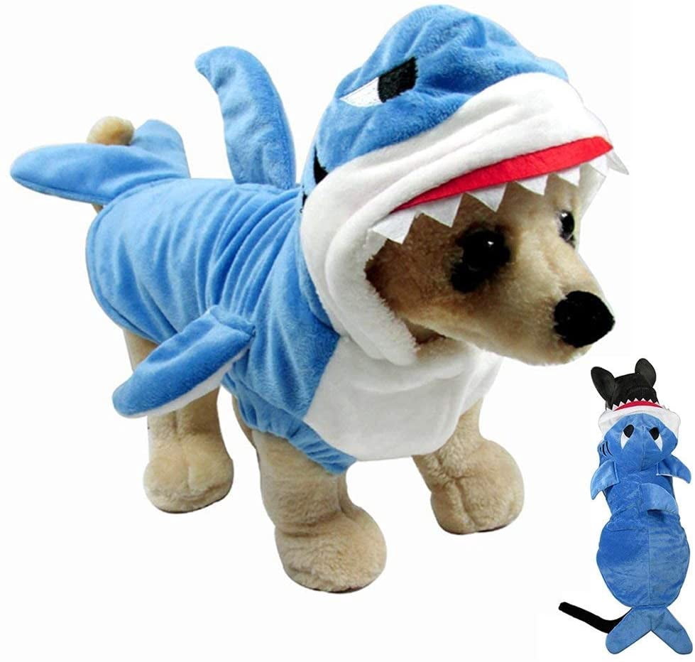 weird dog clothes