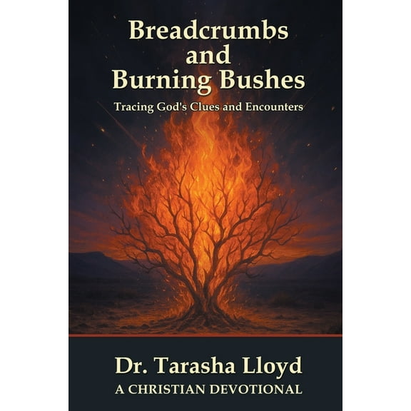 Breadcrumbs and Burning Bushes: Tracing God's Clues and Encounters, (Paperback)