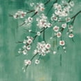 thumbnail image 3 of Vassileva, Silvia 15x15 Black Modern Framed Museum Art Print Titled - Cherry Cloud I Jade, 3 of 5
