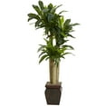 thumbnail image 1 of Nearly Natural 6670 4,5 Pi Cornstalk Draceana avec Vase - Touche Réelle, 1 of 3