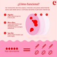thumbnail image 4 of Paquete 2 Calzones Menstruales Culotte Rosario 2XS + Bolsa de Lavado Culotte, 4 of 8