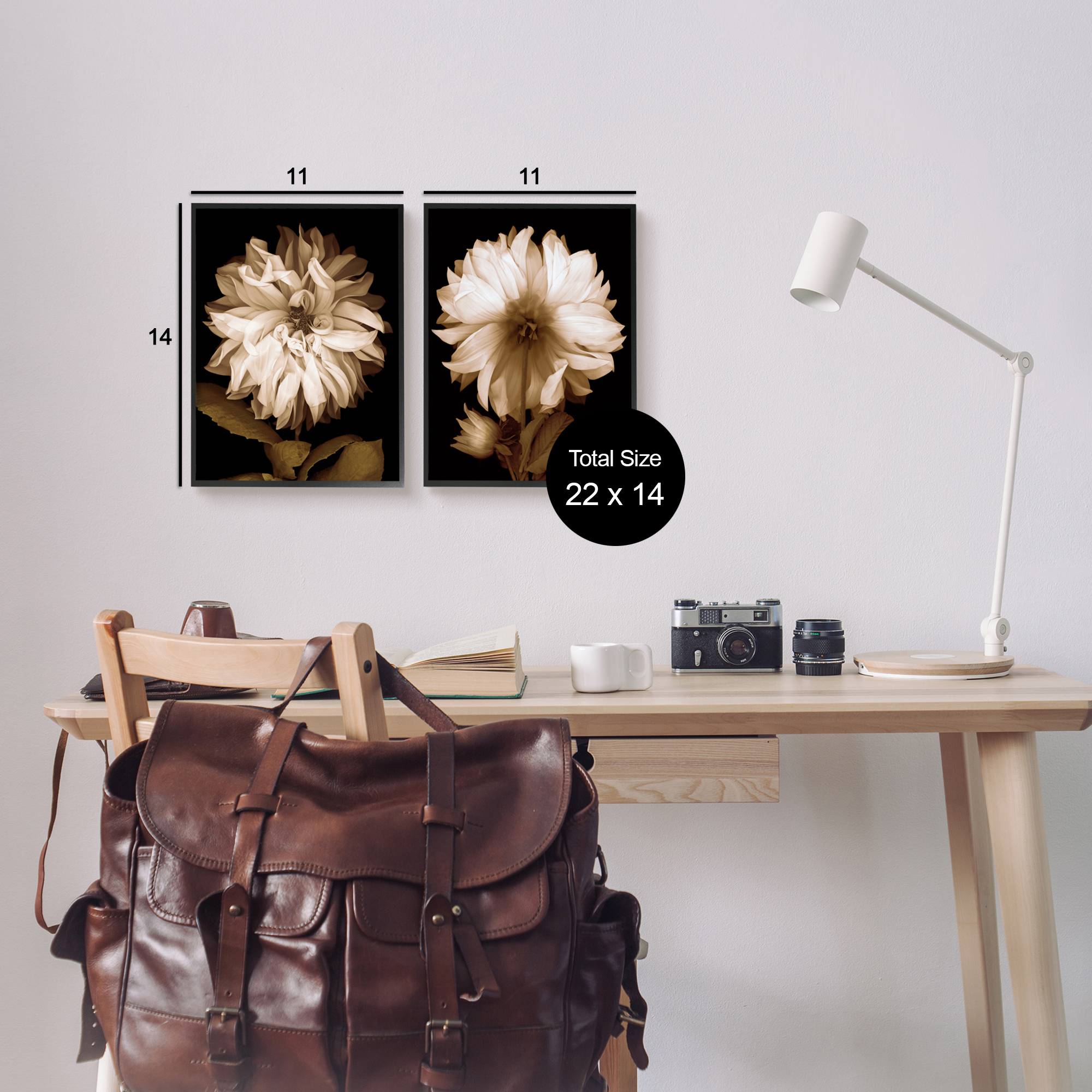 Stupell Sepia Chrysanthemum Flower Blooms Botanical & Floral Photography Black Framed Art Print Wall Art, Set of 2