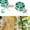 Green409, variant on Garden Plant Support Ties 30m | Reusable Soft PVC Coated Wire | Built-In Cutter | Heavy Duty Outdoor/Indoor Vine, Flower, Tomato, Shrub & Cable Organizer | Flexible Green Bind for Climbing Plants