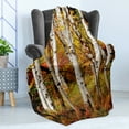 thumbnail image 4 of Fall Soft Flannel Fleece Throw Blanket, White Birch Trees Autumn Leaves Growth Wilderness Ecology Calm Serene View Print, Cozy Plush for Indoor and Outdoor Use, 70" x 90", Multicolor, by Ambesonne, 4 of 5