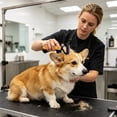 thumbnail image 6 of FEOLGEHLY Pet Dematting Comb for Dogs and Cats - Stainless Steel Undercoat Rake Deshedding Brush with Rounded Tips, Gentle Grooming Tool for Long and Short Hair, Orange (Orange), 6 of 7
