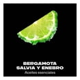 thumbnail image 3 of Desodorante. Axe en barra aqua citrus salvia + enebro 45g, 3 of 4