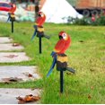 thumbnail image 5 of Rkxzt Solar Led Lights Garden Decor Parrot Statue Light Outdoor Decoration Garden Lawn Landscape Light Porch Yard outside, 5 of 7