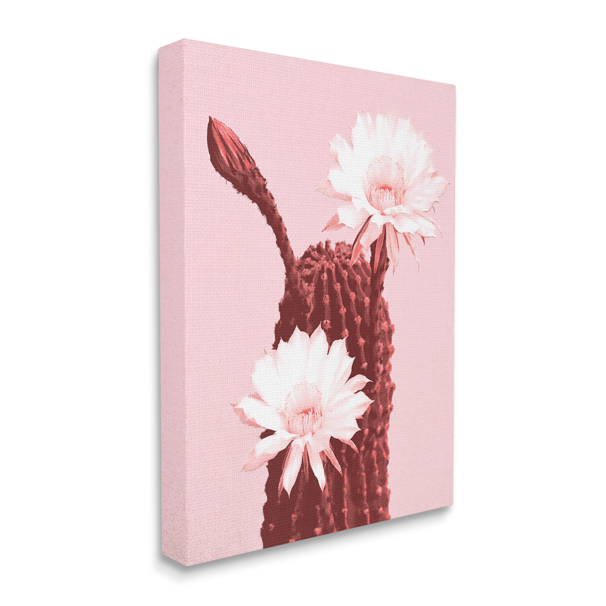 Stupell Industries Pink Cactus Flowers Botanical & Floral Painting Gallery Wrapped Canvas Print Wall Art, 24 x 30
