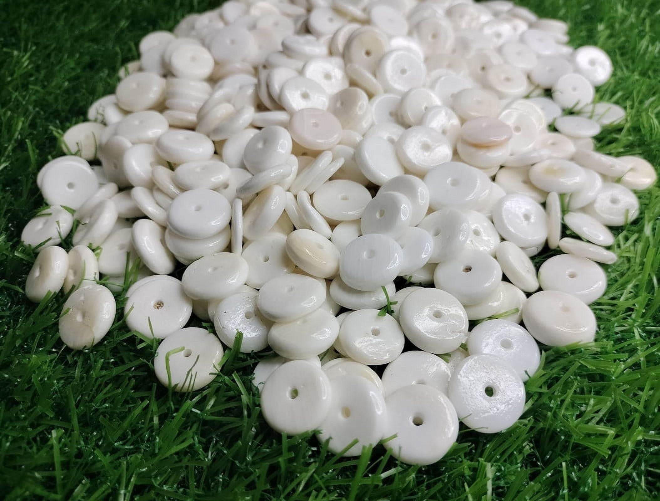 St. John's Exim Sea Shells Buttons 15mm to 16mm (1 kg Minimum 450 Pieces Above) 2.2 lbs, White