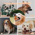thumbnail image 4 of Interactive Dog Ball, Dog Toys for Boredom and Stimulating, Dog Toys for Aggressive Chewers, Safer for Dog's Mouths, for Large Medium Small Puppy, Tra, 4 of 4