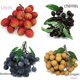 thumbnail image 5 of Artificial Fruit Model ,Realistic, Decoration, Lifelike Simulation Fake Fruit for Restaurant Kitchen Farmhouse Harvest, 5 of 5