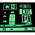thumbnail image 3 of shiyou-Blue Glow In The Dark Fine Pigment Powder 30g/1oz Packet (2 Pack), 3 of 4