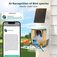 thumbnail image 4 of Comedero inteligente para pájaros QUICTIGRY 2K HD Cámara solar AI, 4 of 8