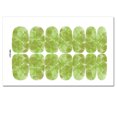 thumbnail image 1 of WREESH 12 Color Nails With Nail Full Stickers DIY Nail Packaging Stickers Decoration, 1 of 1