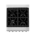 thumbnail image 4 of ZLINE 24" 2.8 cu. ft. Dual Fuel Range with Gas Stove and Electric Oven in Fingerprint Resistant Stainless Steel and Blue Gloss Door (RAS-BG-24), 4 of 21