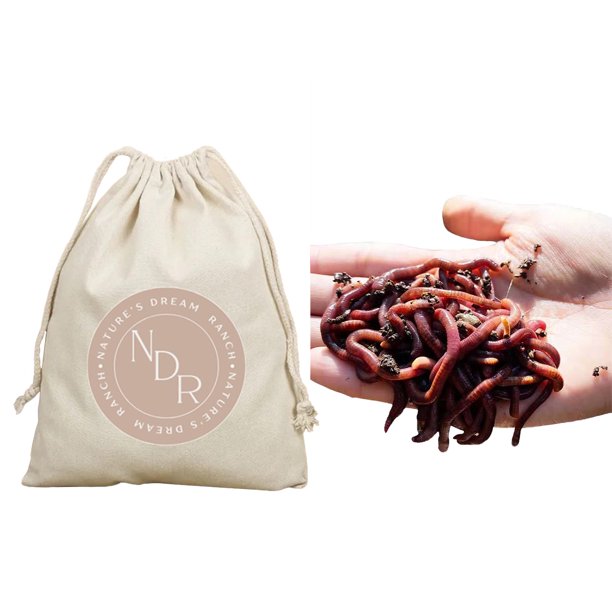 500+ Count Guaranteed Live Red Wiggler Earthworm Garden