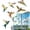 Light Green, variant on Anti‑Collision Window Decals, Window Clings for Glass Windows, Window Stickers for Glass, Bird Static Cling Glass Stickers, No‑Adhesive Bird Strike Prevention Window Decal 1 Sheet