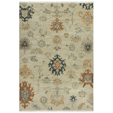 Rizzy Rugs Envision Area Rug ENV966 Beige Petals Scrolls 8 x 10 Rectangle