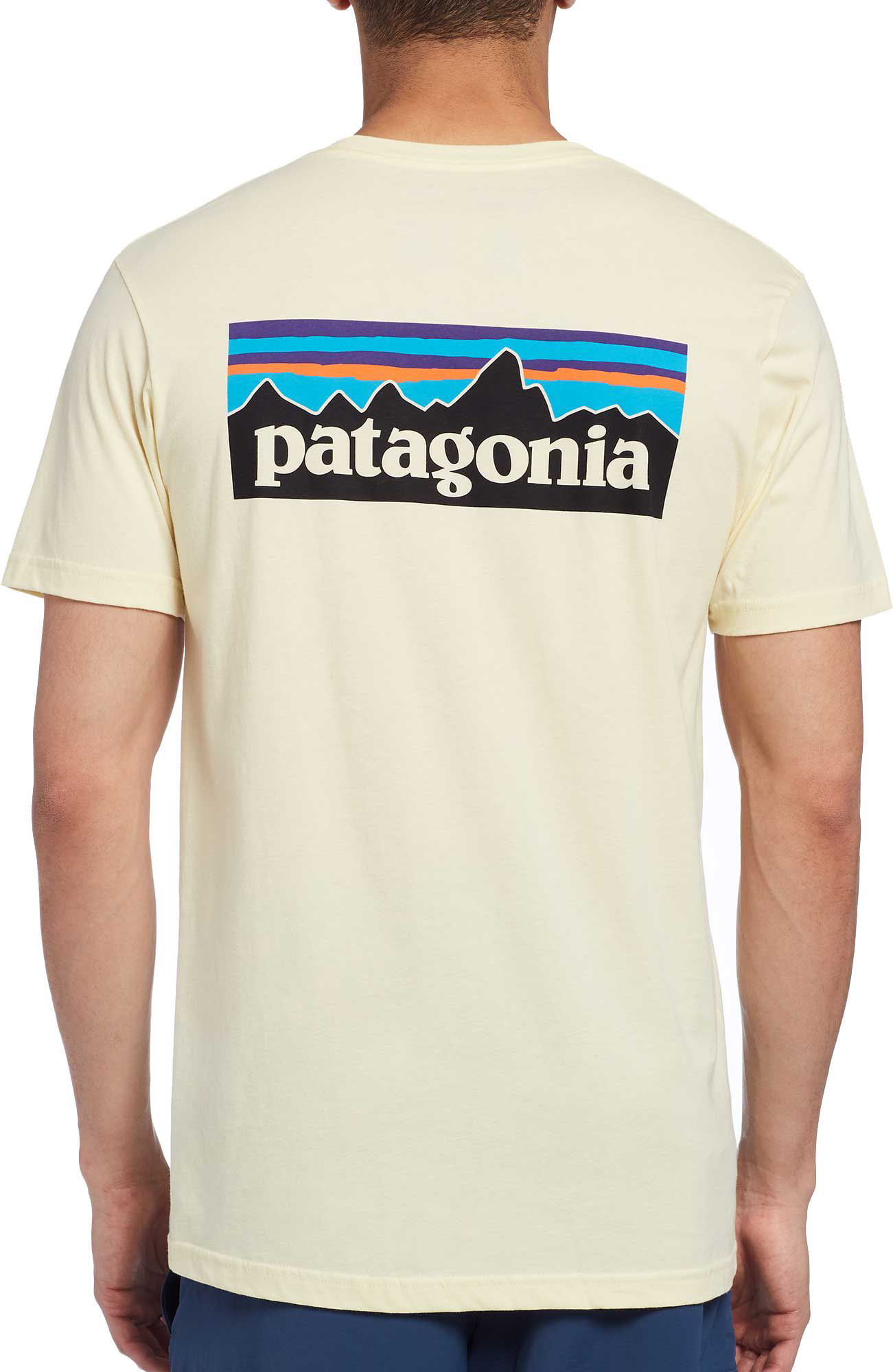 patagonia baseball shirt