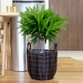 thumbnail image 2 of DTY Signature 3-Pack Catleza Wicker Multi-purposes Basket with handler - Planter basket - Espresso, 2 of 5