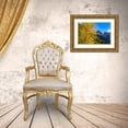 thumbnail image 3 of Haney, Chuck 32x23 Gold Ornate Wood Framed with Double Matting Museum Art Print Titled - Autumn cottonwood and Mount Oberlin in Glacier National Park-Montana-USA, 3 of 4