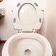 thumbnail image 1 of AURARMLET 4Ud Toilet Seat Bumpers Gris Claro Almohadillas Amortiguadoras Adhesivas Para Asientos De Inodoro, 1 of 8