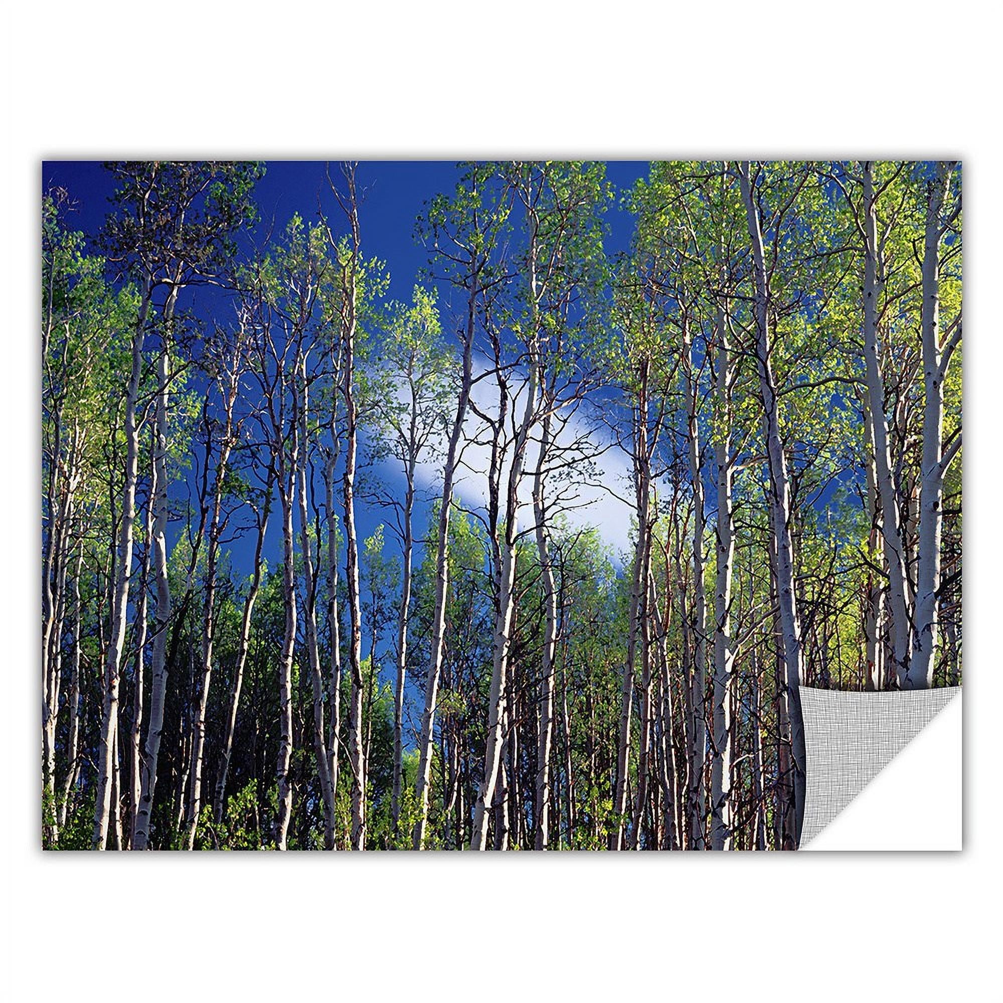 Dean Uhlinger "Lone Cloud" Removable Wall Art
