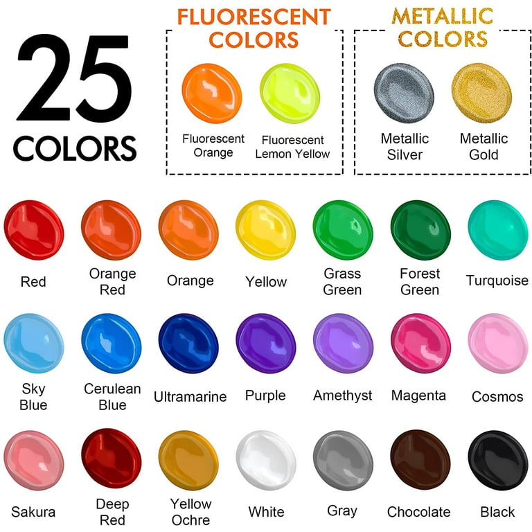 Metallic Acrylic Paint Set with 12 Brushes, Metallic Acrylic Paint Sets  with 20 Colors (60ml, 2oz), Acrylic Paint Set for Artists, Beginners on  Rocks