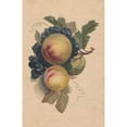 thumbnail image 2 of Henryka Beyer 11x14 Black Ornate Wood Framed Double Matted Museum Art Print Titled: Peaches and Grapes (1800), 2 of 5