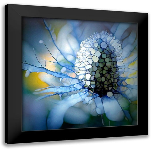 Schmidt, Renate M. 12x12 Black Modern Framed Museum Art Print Titled - Eisdistel