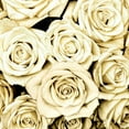 thumbnail image 2 of Bennett, Kate 12x12 Gold Ornate Wood Framed with Double Matting Museum Art Print Titled - Roses, 2 of 4