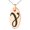 Rose, variant on Tioneer Stainless Steel Euler-Mascheroni Mathematical Engraved Small Oval Charm Pendant Necklace
