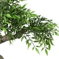 thumbnail image 6 of Northlight 18" Bonsai Artificial Potted Plant - Green/Brown, 6 of 7