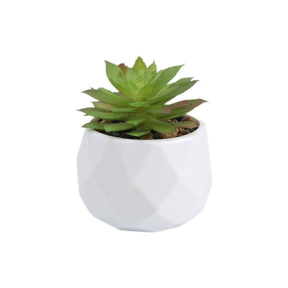 QHUDLV Artificial Cactus Plant,Small Faux Pot,Mini Home Decor