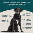 thumbnail image 3 of Animal Essentials Heart Health Herbal Formula For Dogs And Cats 2-Ounce, 3 of 9