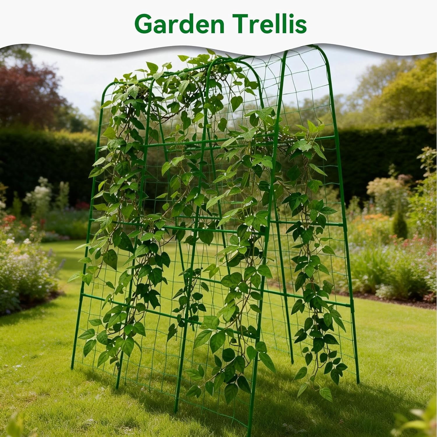 Plastic-Coated Steel Pipe Cucumber Trellis, 62.4"*50" for Raised Bed, U-Shape Garden Trellis for Climbing Plants, Also for Cucumbers and Beans