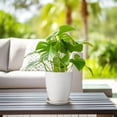 thumbnail image 2 of Ordivic 8 Inch White Ribbed Ceramic Plant Pot with Saucer, Round Planter with Drainage Hole, Modern Glossy Indoor Outdoor Flower Pot for Houseplants, Succulents, Ferns, Monstera Decor, 2 of 6
