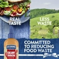 Hellmann,S Spread And Dip For Sandwiches, Burgers And More Dipping