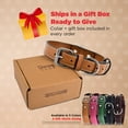 thumbnail image 6 of DowgClub Leather Dog Collar with Double D Rings - Handmade Full Grain Leather for Large Dogs, Tan, 6 of 6