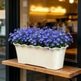 thumbnail image 4 of 3 Pack Garden Vegetable Planting Trough Rectangular Plastic Planter Balcony Outdoor Flower Container Herb Pot Home, White, JKODE, 4 of 9