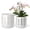 White-1, variant on EFISPSS 6 inch Green Ceramic Plant Pots with Drainage & Saucer, Natural Boho Crackle Glaze, Indoor/Outdoor Flower Planter, 4 Pack