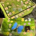 thumbnail image 3 of Hogar y jardín, decoración del hogar, terrario, luz nocturna, real y LED, en un somier, mariposas, luz nocturna, bricolaje, 3 of 9