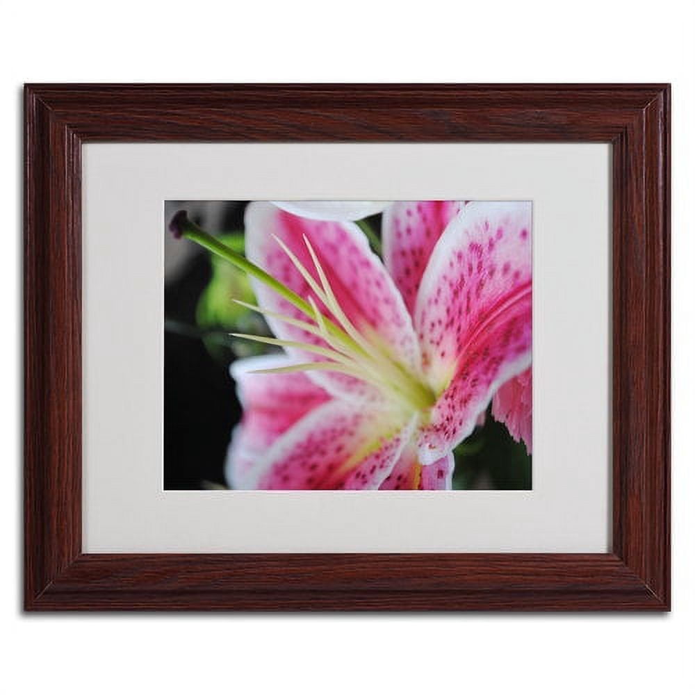 Trademark Fine Art "Pink Flower" by Monica Fleet, Wood Frame