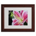 thumbnail image 2 of Trademark Fine Art "Pink Flower" by Monica Fleet, Wood Frame, 2 of 3