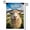 B, variant on XaaKee Garden Flag, Animal Photography Goat Spring Garden Flag, Double-Sided High-Quality White Linen Small Garden Flags, 12x18Inch