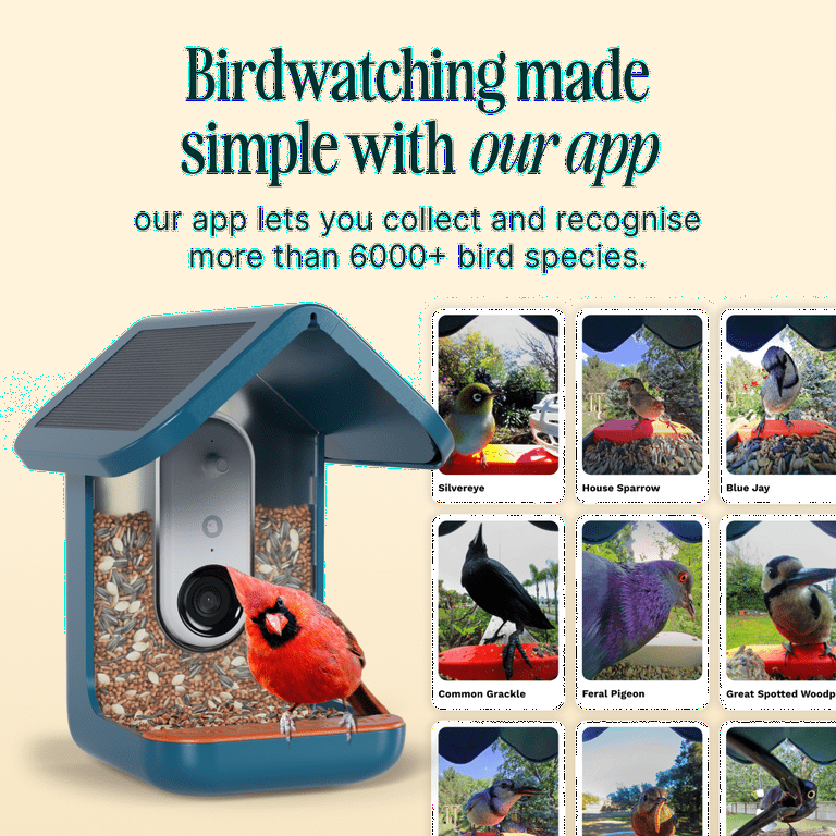 Birdbuddy ソーラールーフ付スマートバードフィーダー Amazon.com : Birdbuddy PRO Solar Smart Bird Feeder with
