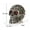 D, variant on Skeleton Halloween Decorations,Halloween Ornaments Life Size Human Skull Model Indoor Outdoor Decorations for Trick-or-Treaters,Realistic Resin Human Head Bone Tabletop Home Decor
